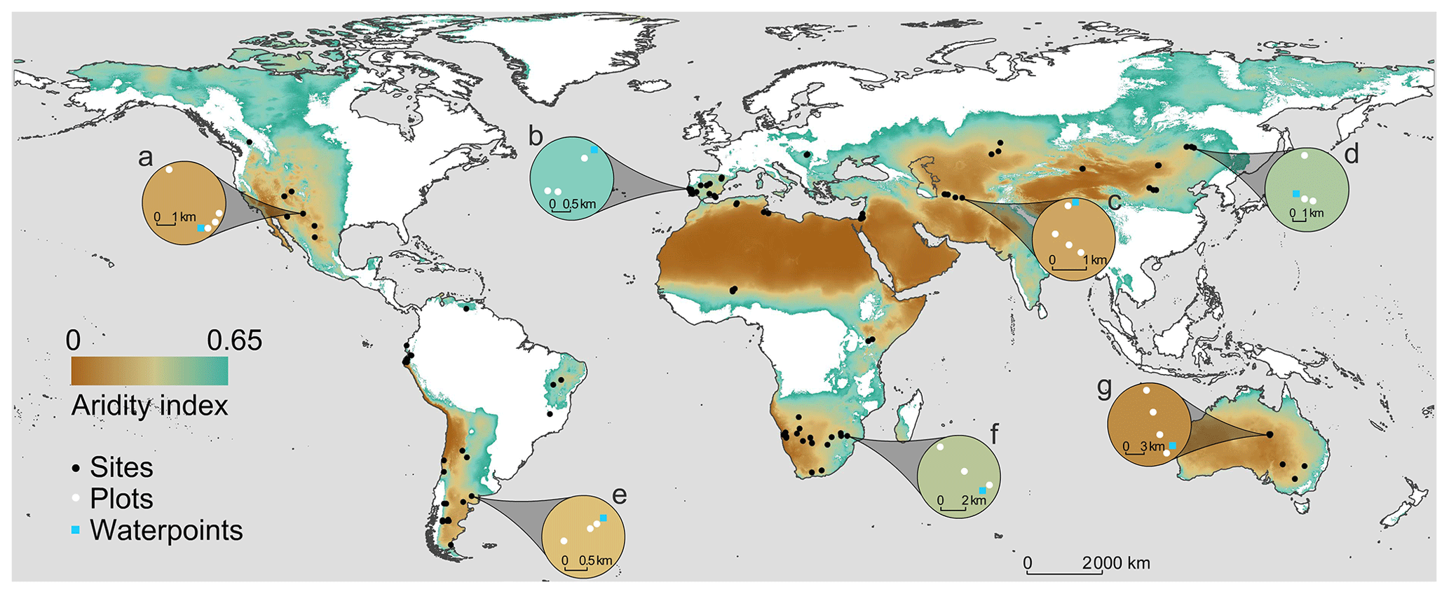 WE - The BIODESERT survey: assessing the impacts of grazing on the